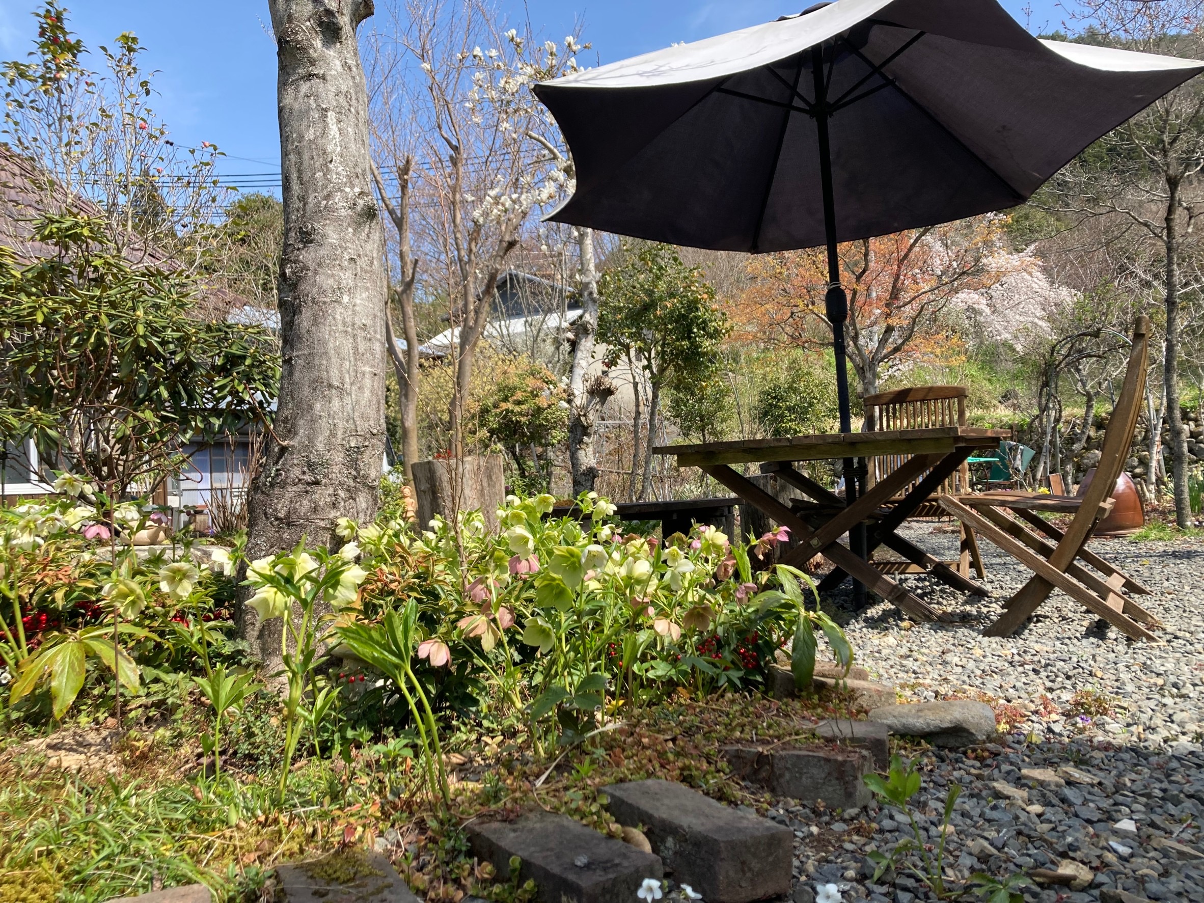 倉増ガーデン4/7